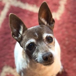 Meet your Posher, Mitch